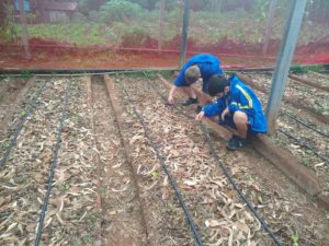 Leia mais sobre o artigo PROJETO DE CAPTAÇÃO DE ÁGUA DA CHUVA E IRRIGAÇÃO DA HORTA ESCOLAR ENVOLVE A COMUNIDADE ESCOLAR DA EMEF JAGUARETÊ