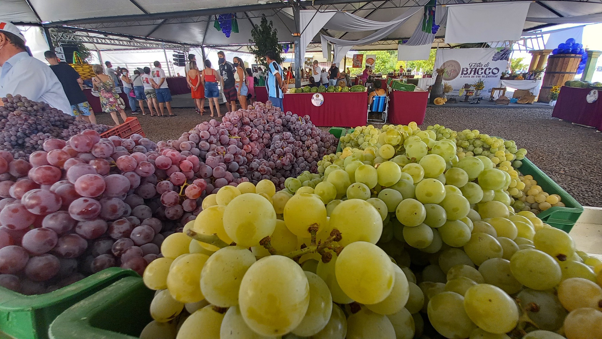 Você está visualizando atualmente ÚLTIMO FIM DE SEMANA DA FESTA DI BACCO 2022