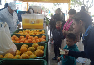 Leia mais sobre o artigo PRODUTOS SAUDÁVEIS E EXPERIÊNCIA COM DINHEIRO – FEIRA DO PRODUTOR VAI ÀS ESCOLAS MUNICIPAIS