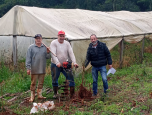 Leia mais sobre o artigo SECRETARIA DE AGRICULTURA ENTREGA 1136 MUDAS AOS AGRICULTORES