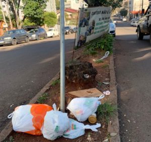 Leia mais sobre o artigo SECRETARIA DE MEIO AMBIENTE REFORÇA QUE CANTEIRO CENTRAL NÃO É LIXEIRA