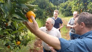 Leia mais sobre o artigo PREFEITO PAULO POLIS VISITA FAMÍLIA BERTOCHI PRODUTORA DE CÍTRICOS