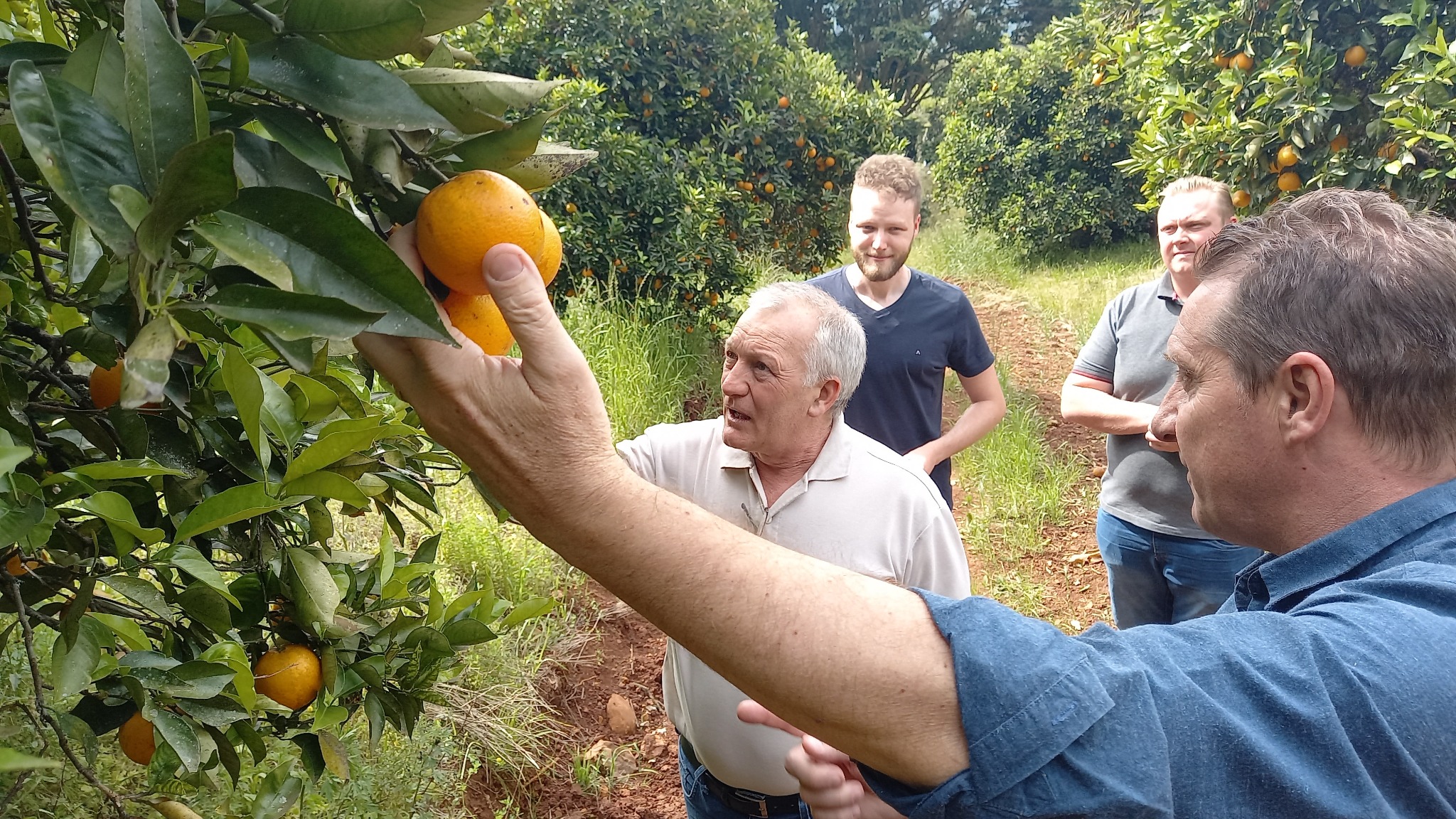 Você está visualizando atualmente PREFEITO PAULO POLIS VISITA FAMÍLIA BERTOCHI PRODUTORA DE CÍTRICOS