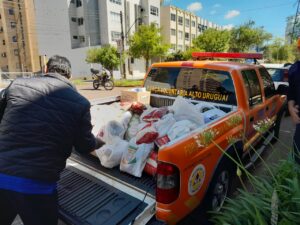 Leia mais sobre o artigo PENALIDADES NOS CAMPEONATOS MUNICIPAIS SE TORAM EM DOAÇÕES DE ALIMENTOS